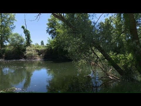 Fiestas en la Naturaleza: Celebraciones en Parques y Espacios Verdes