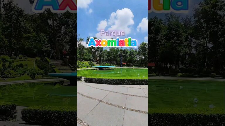 Espacios Verdes Ideales para Pasear Mascotas