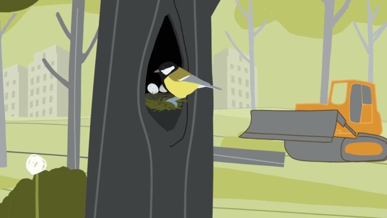 Recuperaci&oacute;n de la Biodiversidad en Zonas Verdes Urbanas