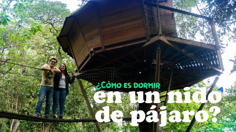 Refugios Naturales para el Descanso en Parques Tem&aacute;ticos