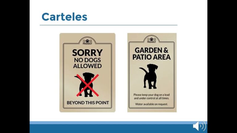 Mejores &Aacute;reas al Aire Libre para Perros