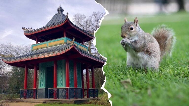 Parques Tranquilos para Conectar con la Naturaleza