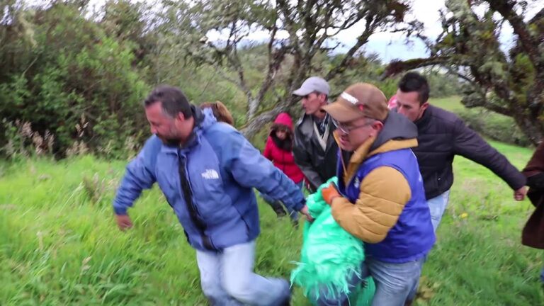 Monitoreo de Especies en &Aacute;reas de Conservaci&oacute;n de Fauna