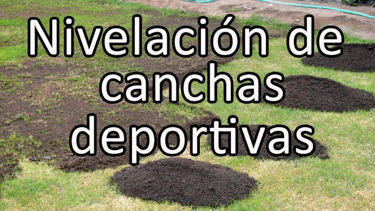 Opciones Recreativas en Parques con Canchas Deportivas