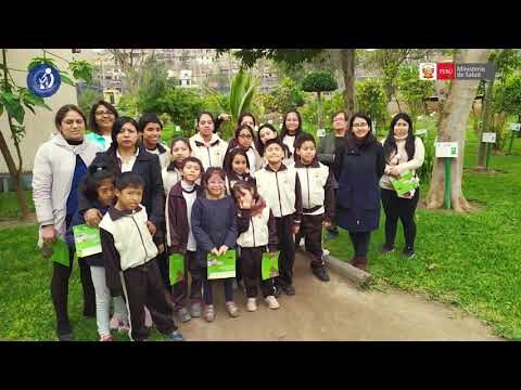 Explorando Plantas Medicinales en Jardines Bot&aacute;nicos