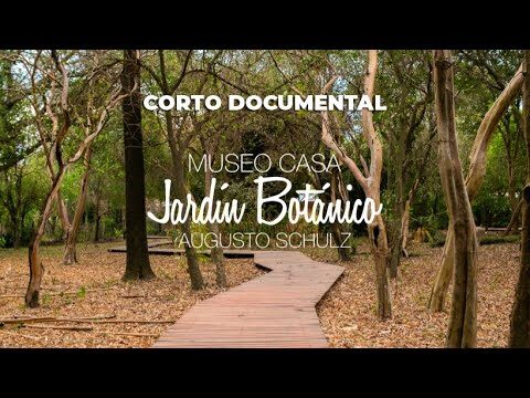 Explorando Jardines Botánicos: Paseos entre Plantas Emblemáticas