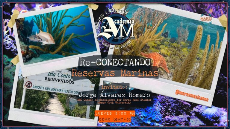Protecci&oacute;n de Arrecifes mediante Reservas Marinas