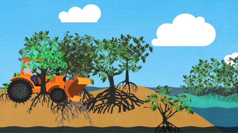 El impacto positivo de las reservas marinas en el ecosistema