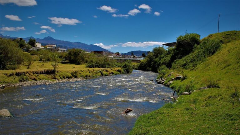 Arte Urbano en Parques Ribere&ntilde;os