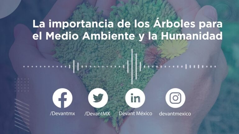 Beneficios de los &Aacute;rboles Frondosos en Espacios Verdes