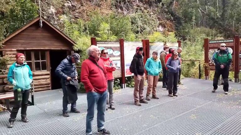 Explorando Excursiones en Bosques Frondosos