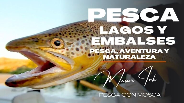 Los mejores destinos para la pesca recreativa en embalses