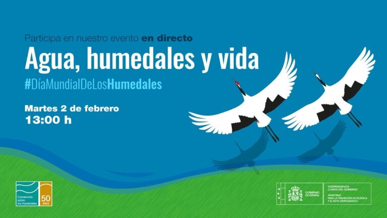 La Belleza Natural de los Humedales Costeros