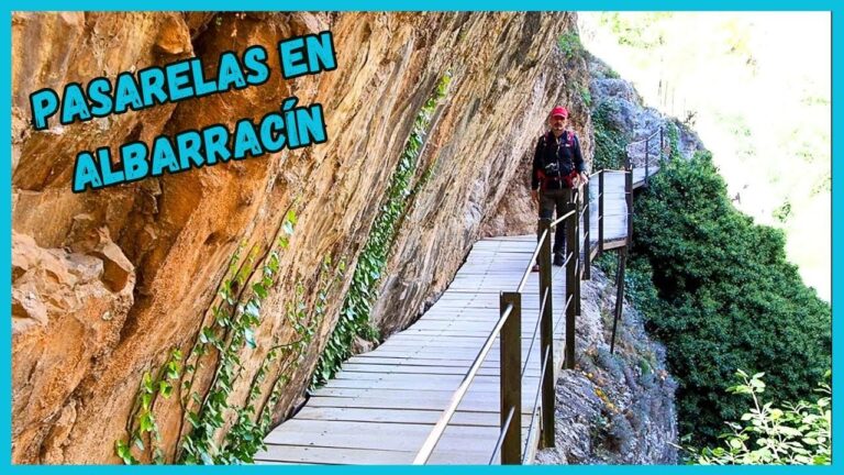 Explorando Rutas para Caminar en Parques Fluviales