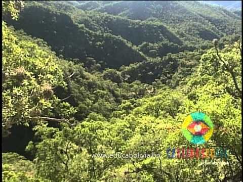 La Riqueza Natural de los Valles Verdes