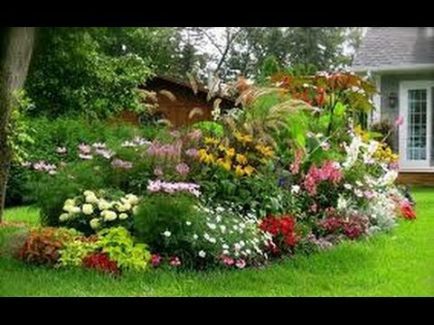 Diversidad Vegetal en Jardines Dise&ntilde;ados: Clave para la Sostenibilidad