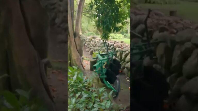 Ecosistemas y Conservaci&oacute;n de Fauna en &Aacute;reas Protegidas