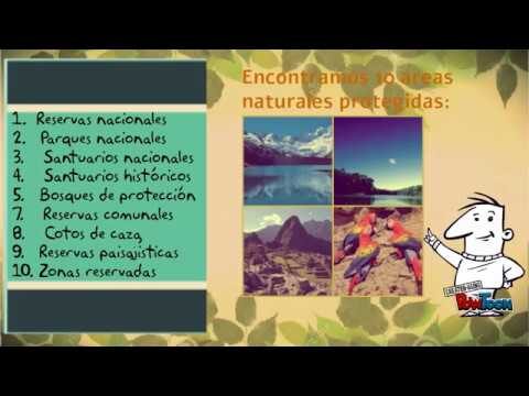 Biodiversidad en Reservas de Caza: Un Exploraci&oacute;n Esencial