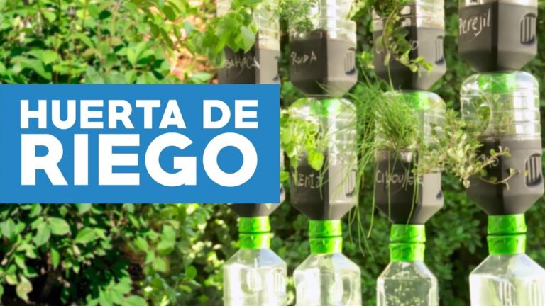 Herbolaria Moderna en Jardines y Huertos Urbanos