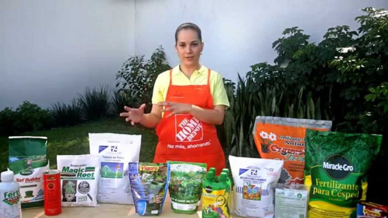 Frescura y Calidad en Alimentos de Jardines Urbanos