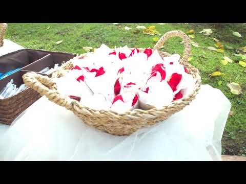 Escapada Perfecta: Disfruta de &Aacute;reas de Picnic Privadas al Aire Libre