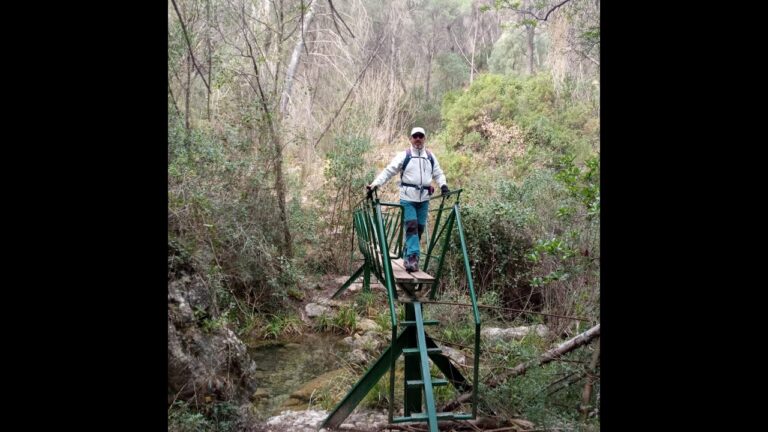 Senderos y &Aacute;reas de Picnic: Disfruta la Naturaleza al M&aacute;ximo