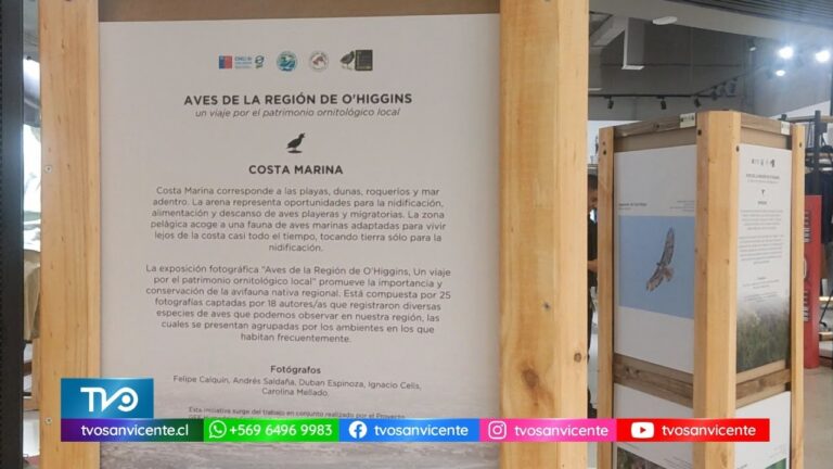 Avistamiento de Especies Marinas en Playas y Dunas Naturales