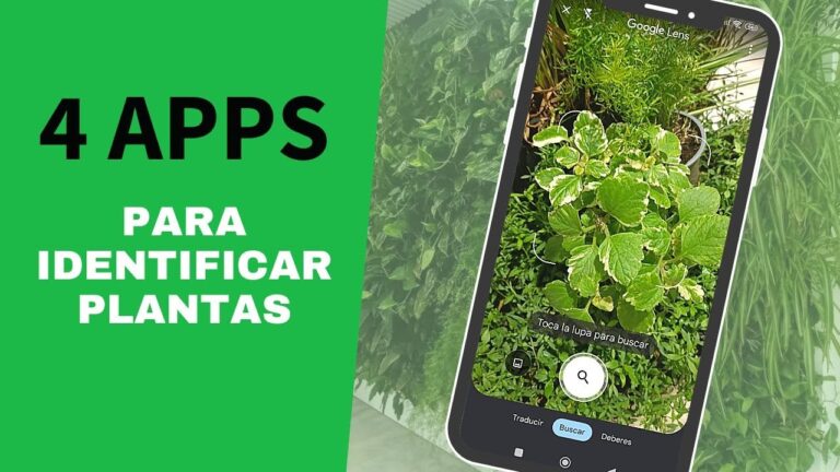 Conexi&oacute;n Natural: Plantas Medicinales en Jardines Bot&aacute;nicos