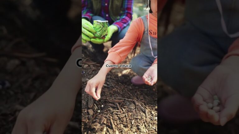 Impulso de la Agricultura Urbana en Jardines y Huertos