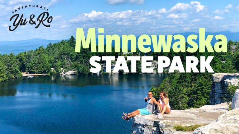 Picnics en Parques: Disfruta de Vistas Naturales