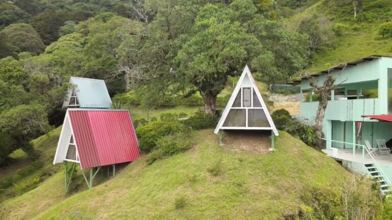 Momentos de Paz en Miradores Naturales