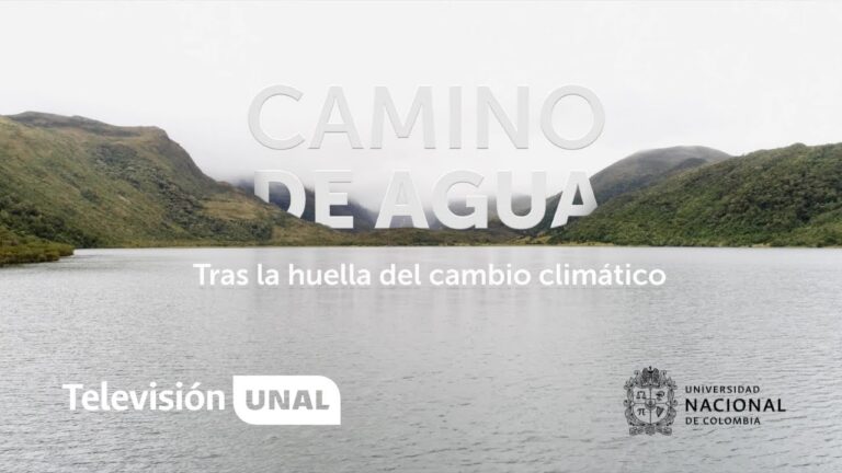 Bosques P&uacute;blicos y Preservaci&oacute;n del Agua: Una Conexi&oacute;n Vital