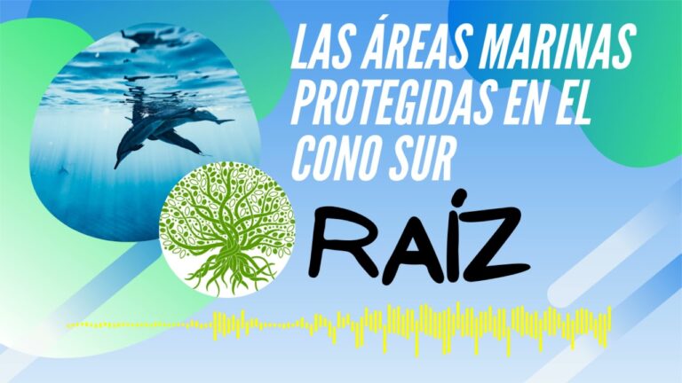 Belleza Natural de las Áreas Marinas Protegidas