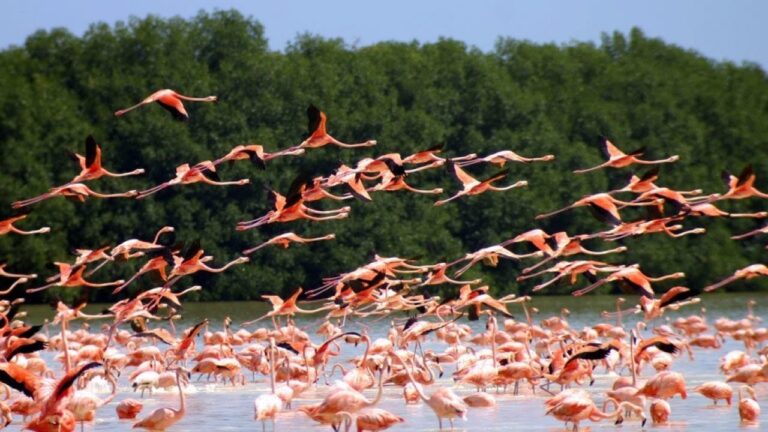 Turismo Ecológico en Playas y Dunas Naturales