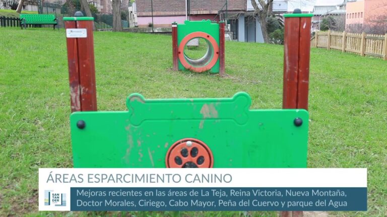 Mejores &Aacute;reas de Esparcimiento Canino en la Ciudad