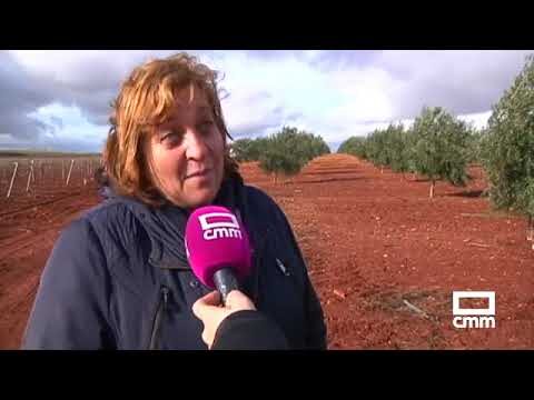 Beneficios de los Embalses en la Agricultura