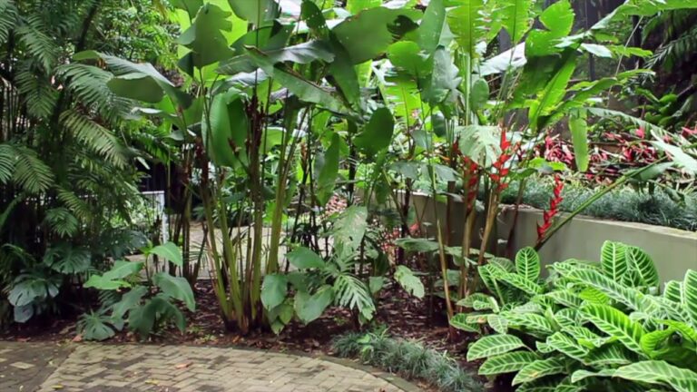 Explorando Jardines Bot&aacute;nicos: Un Recorrido Educativo