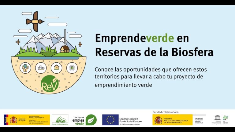 Estrategias Efectivas para la Preservaci&oacute;n de la Biodiversidad en Reservas Designadas