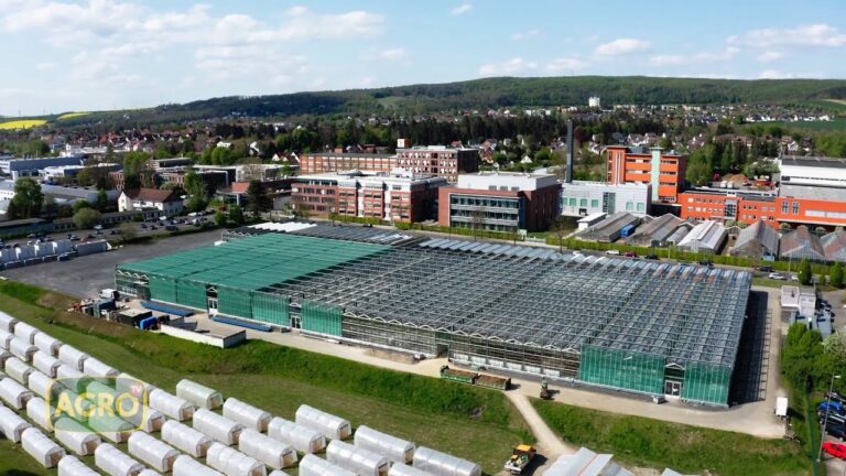 Innovaciones en el Cultivo Urbano