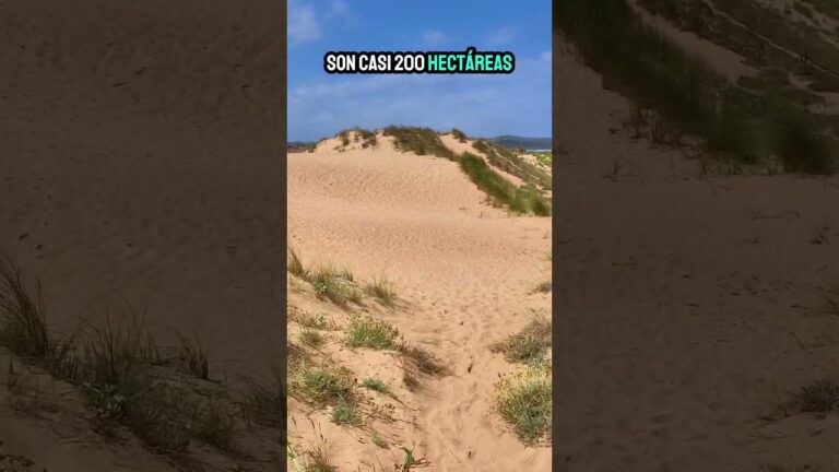 Conservaci&oacute;n y Biodiversidad en la Reserva Natural de Playas y Dunas