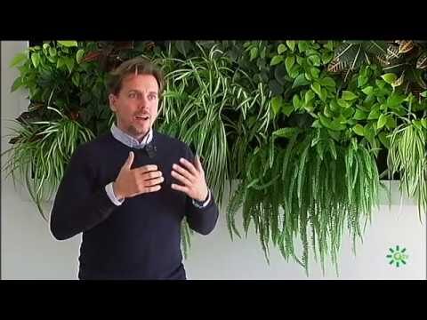 Optimización del Diseño de Zonas Verdes Urbanas con Jardines Verticales