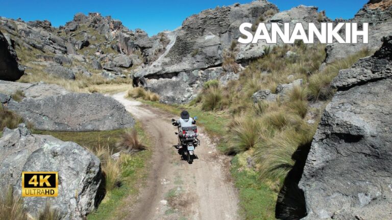 Aventuras Extremas en Bosques Verdaderos