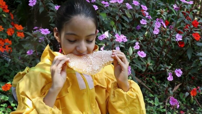 Oasis Gastron&oacute;micos en la Naturaleza