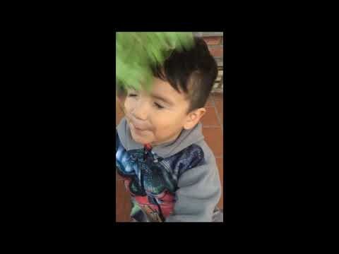 Cultura y Naturaleza: Actividades para Conectar con el Entorno