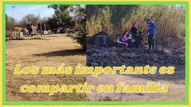 Los Mejores Lugares para Picnic en Zonas Verdes