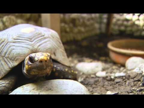 Ecosistemas de Caza y Pesca: Conservaci&oacute;n y Sostenibilidad