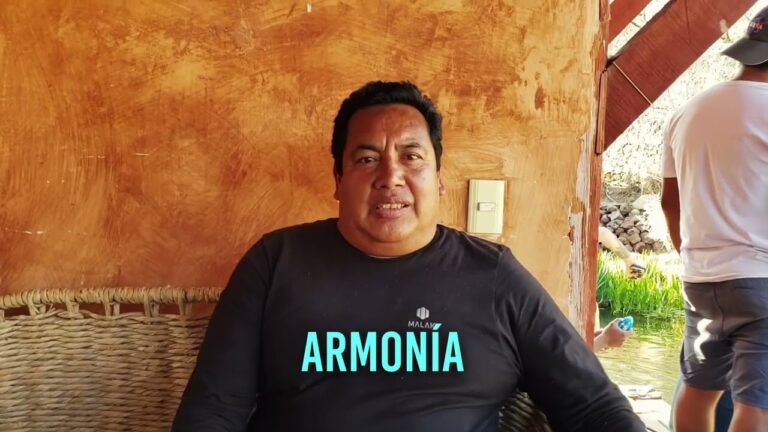 Armonía y Relajación en Ecosistemas Saludables