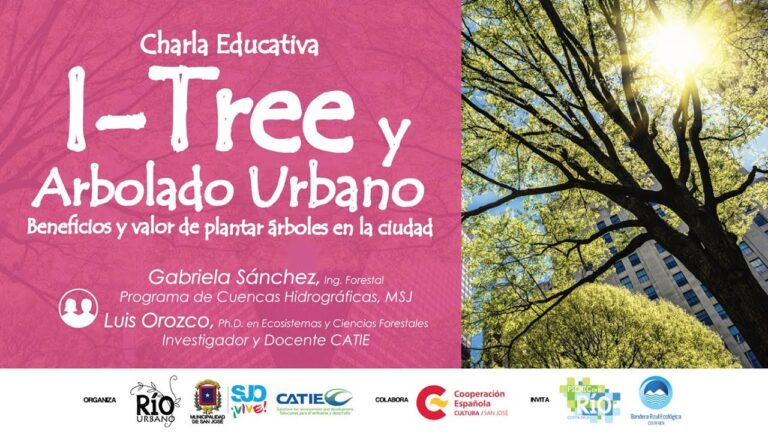 Zonas de Restauraci&oacute;n en Parques: El Espacio Ideal para un Picnic Especial