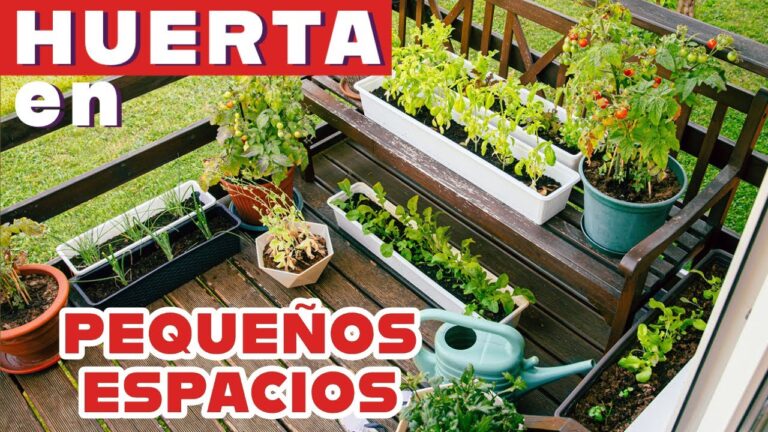 Cultivo Eficiente en Huertos Urbanos con Espacios Reducidos