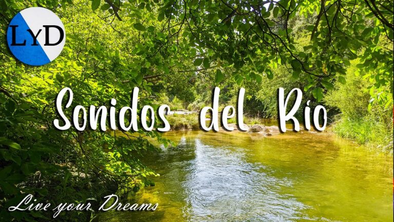 Descubriendo Paisajes de Aves en R&iacute;os y Arroyos